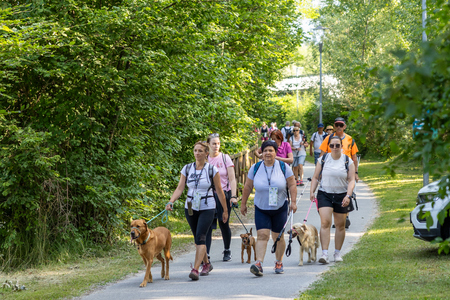Pot ob reki, ki povezuje (8)